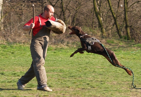 Training 26. 3. 2007